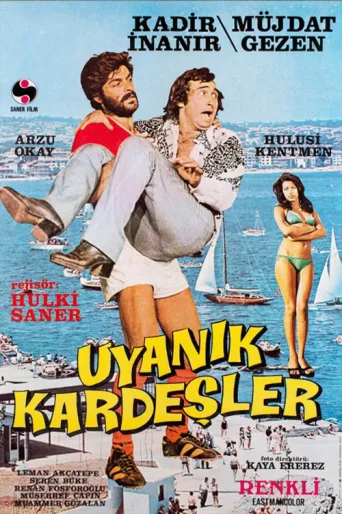 Poster for Uyanık Kardeşler