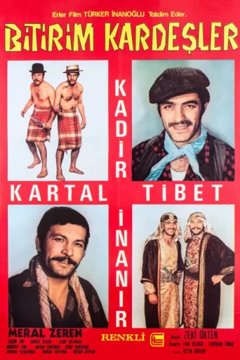 Постер Bitirim Kardeşler