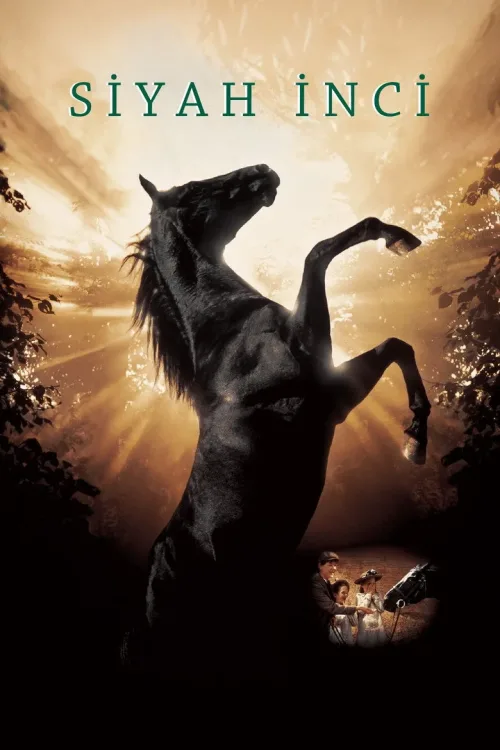 Black Beauty