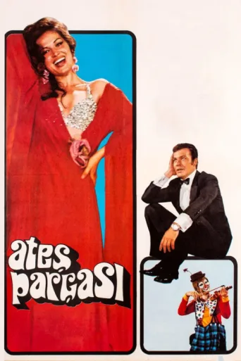 Постер Ateş Parçası