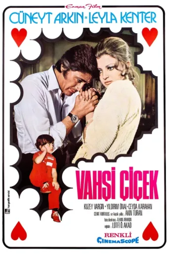 Poster for Vahşi Çiçek