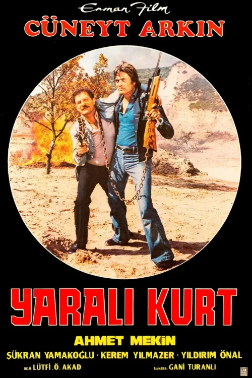 Yaralı Kurt