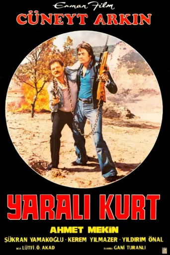 Póster de Yaralı Kurt