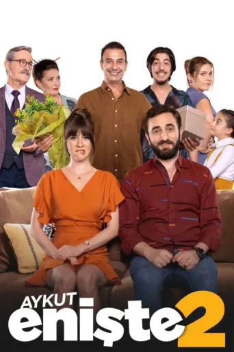 Poster for Aykut Enişte 2