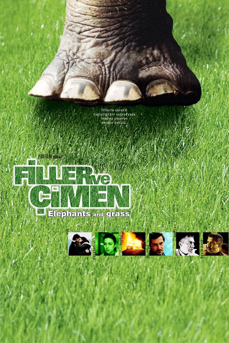 Credit poster