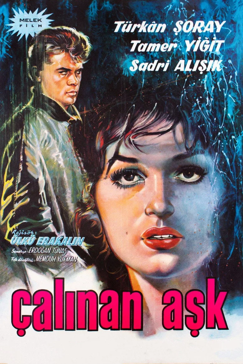 Çalınan Aşk poster