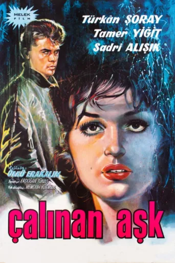 Çalınan Aşk afişi