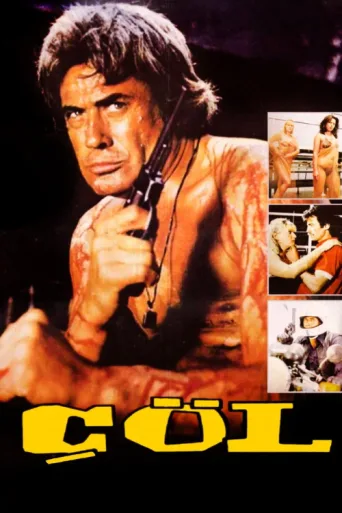 Постер Çöl