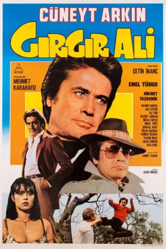 Póster de Gırgır Ali