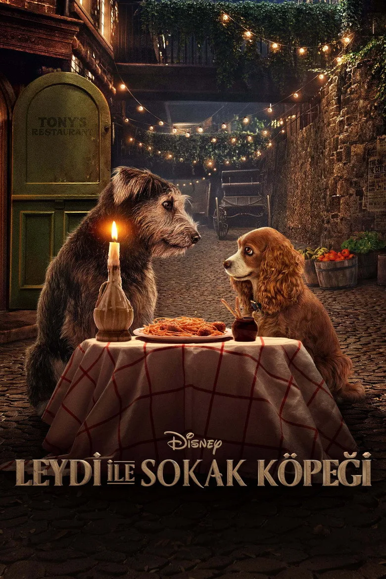 Lady ile Sokak Köpeği posteri