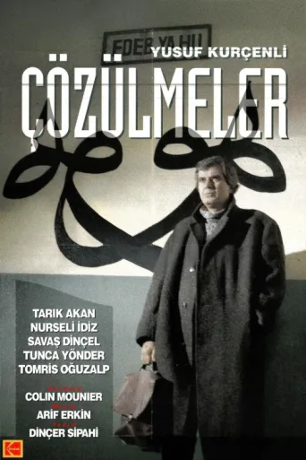 Poster for Çözülmeler