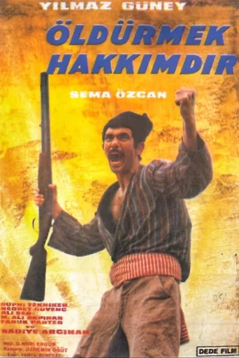 ملصق Öldürmek Hakkımdır
