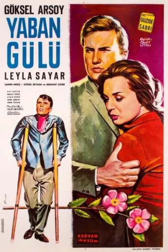 ملصق Yaban Gülü