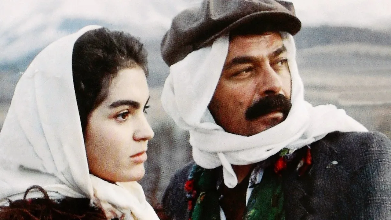 خلفية لـ Tatar Ramazan