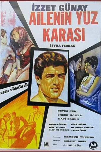 Póster de Ailenin Yüz Karası