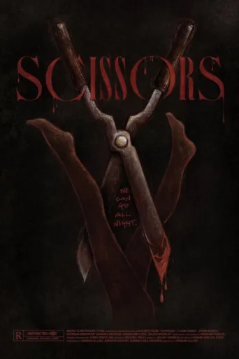 Постер Scissors