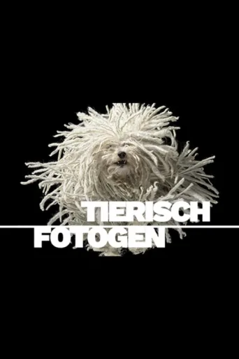 Постер Tierisch fotogen