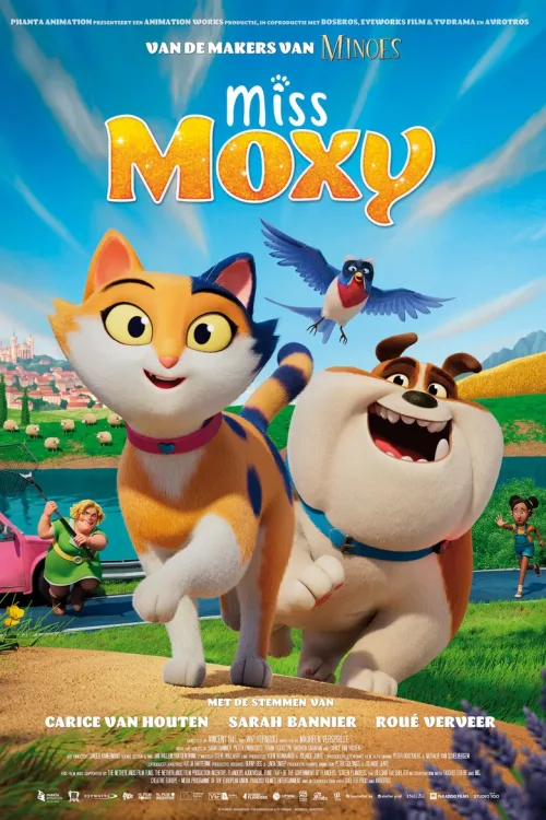 Cesur Kedi Moxy