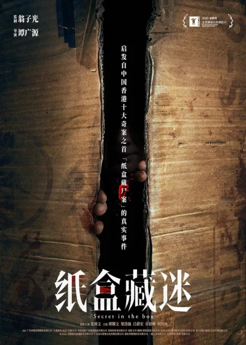 纸盒藏迷