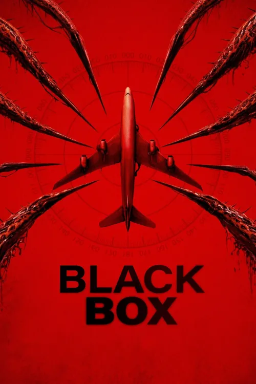 Black Box (Flight 298)