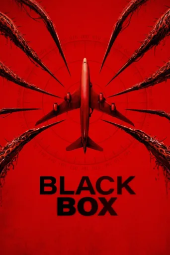 Black Box (Flight 298) afişi