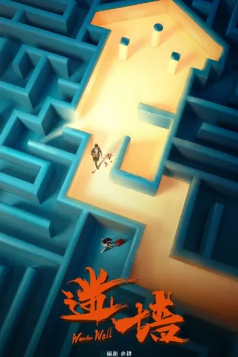 Wonder Wall afişi