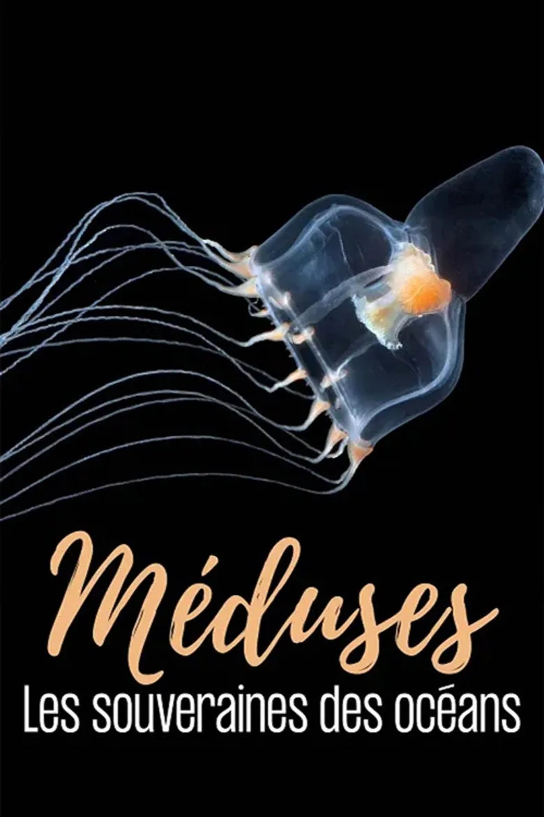 постер Méduses les souveraines des océans