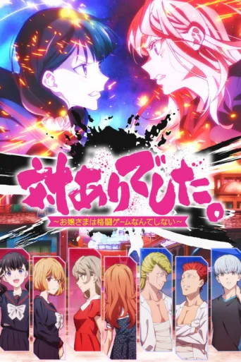Poster for Young Ladies Don't Play Fighting Games