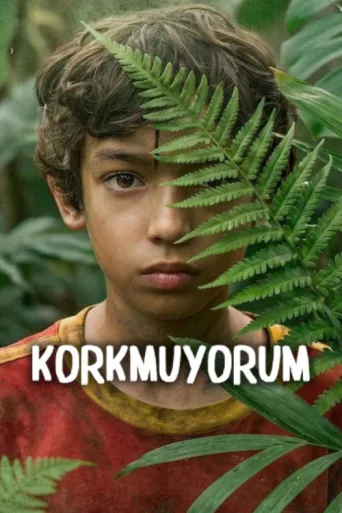 ملصق Korkmuyorum