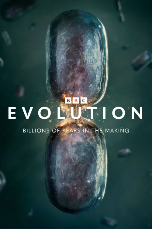 Evolution