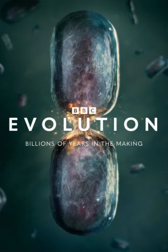 Постер Evolution