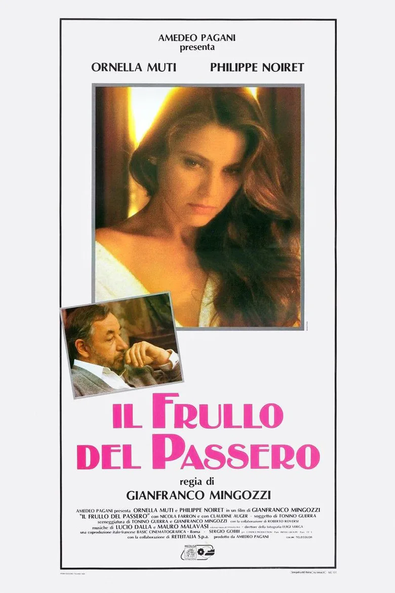 póster de Il frullo del passero