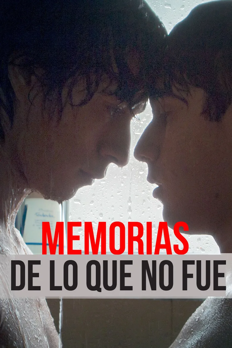 Memorias de lo que no fue poster