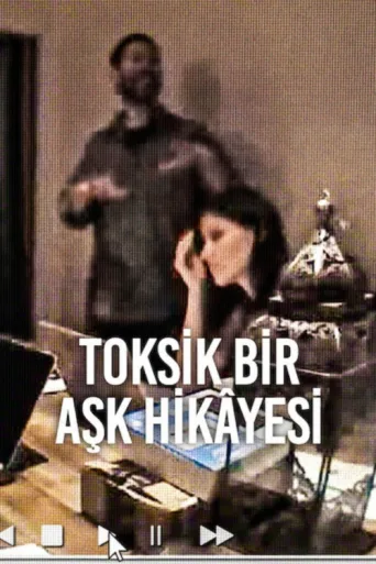 Toksik Bir Aşk Hikâyesi afişi