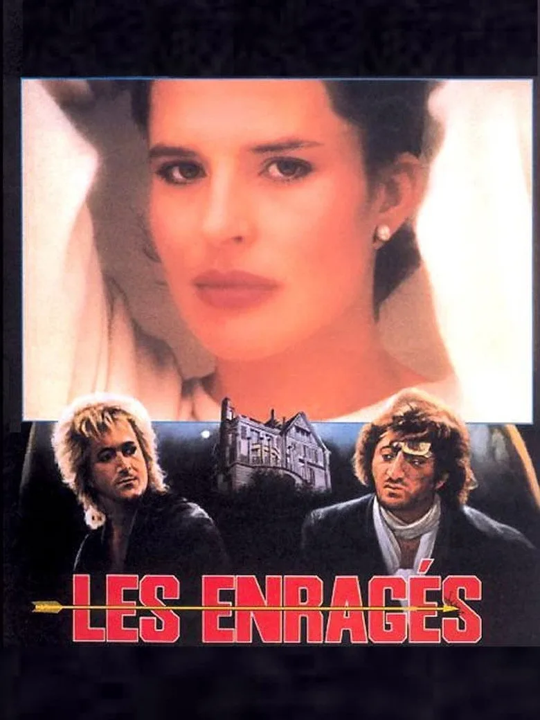 póster de Les enragés