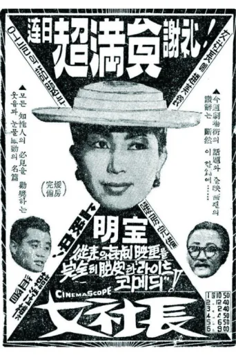 Póster de A Female Boss