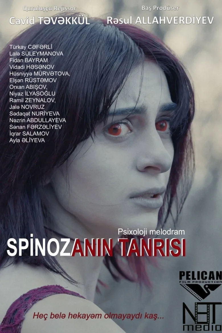 Spinozanın Tanrısı poster