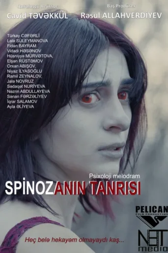 Spinozanın Tanrısı afişi