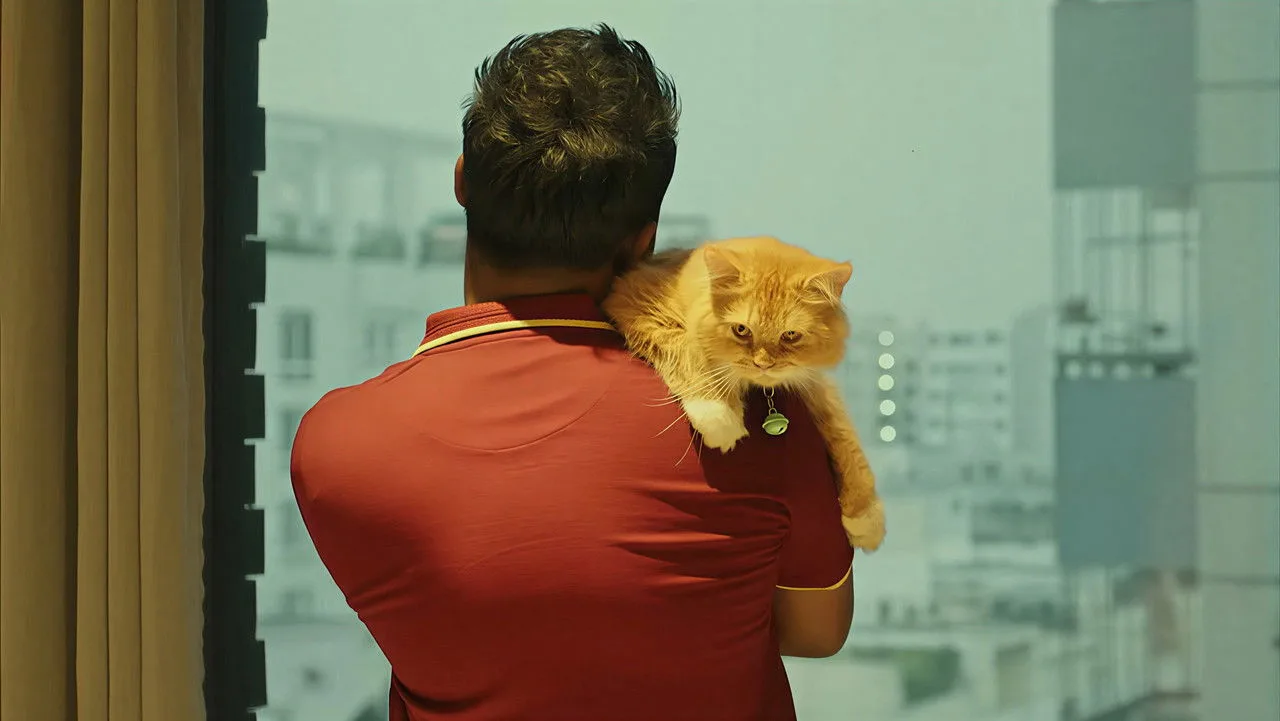 Love Sitter için arka plan görseli