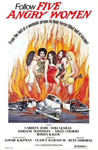 Póster de Women Unchained