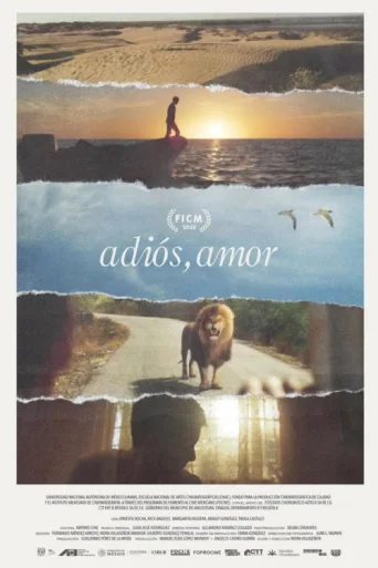 Póster de Adiós, amor