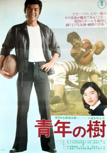 Póster de Tree of Youth