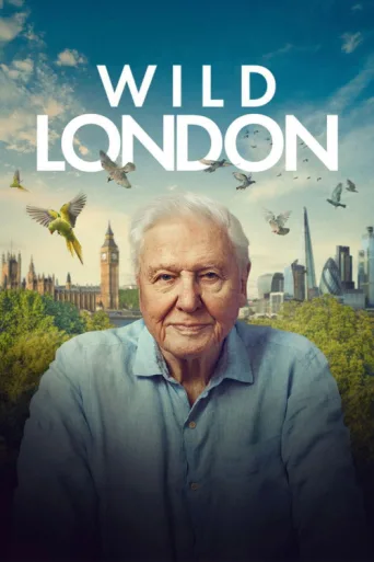 Постер Wild London