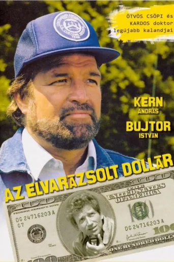 Az elvarázsolt dollár afişi