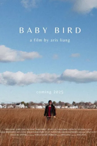 Póster de Baby Bird