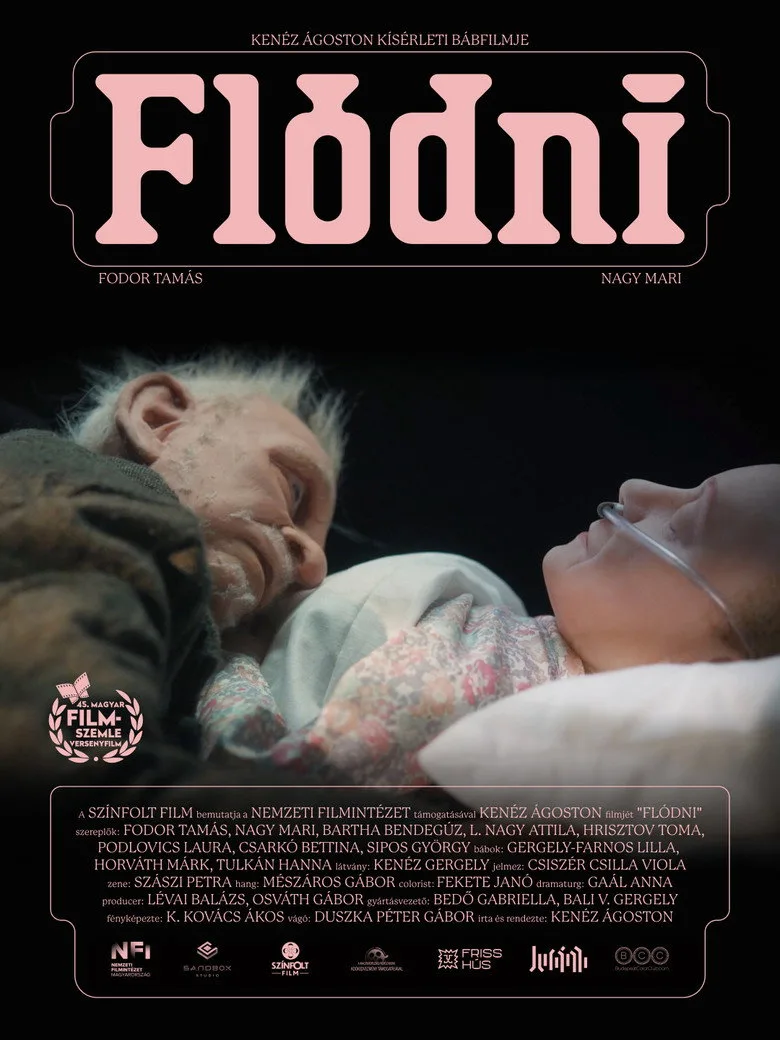 постер Flódni