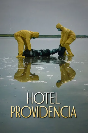 Póster de Hotel Providencia