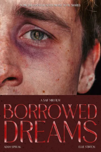 ملصق Borrowed Dreams