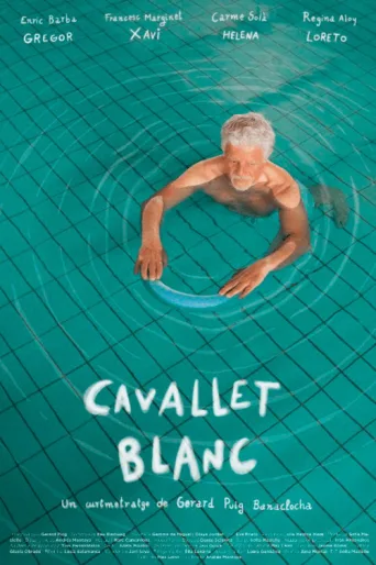 Постер Cavallet Blanc