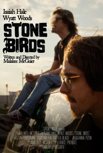 Stone Birds afişi